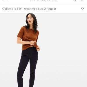 NWOT Everlane Side-Zip Stretch Cotton Pants